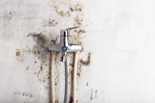 Water Damage Restoration in Laurel Hollow, NY