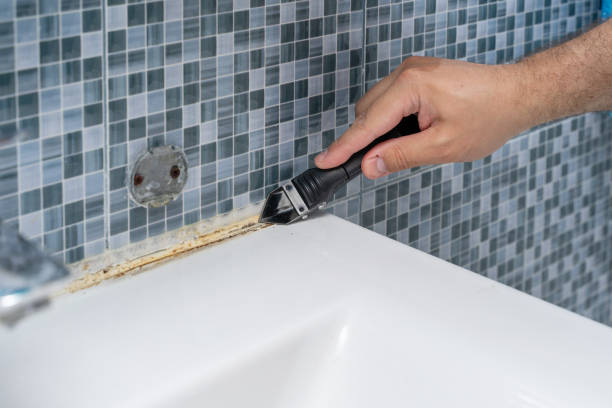 Best Affordable Mold Removal  in Laurel Hollow, NY